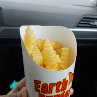 Fries at Earth Burger - NW Loop in San Antonio