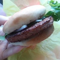 no vegan cheese sadly  at Earth Burger - NW Loop in San Antonio