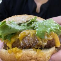 Earth burger  at Earth Burger - NW Loop in San Antonio