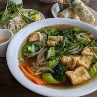 Veg pho, tofu rolls, and lovely jasmine tea! at Pho Eatery in Rockville