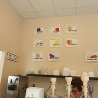Vegan flavours at Fior di Gelato Soragna in Emilia-romagna