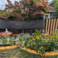 garden at Nepali Kitchen and Chai Garden in Portland