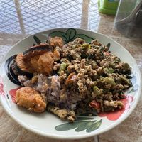 Rice with 2 choices  at Metta Kitchen Vegetarian Food in Chang Wat Kanchanaburi