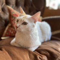   at Cafe Schnurrke in Cologne