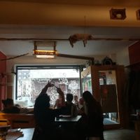 Catto at Cafe Schnurrke in Cologne