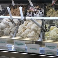Gusti segnalati come vegani tra le creme (poi ci sono i gusti di frutta)   at Attimi - dolci e gelati in Campania