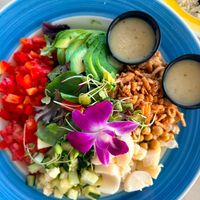Vegan Cobb - YUM! at Guanabanas in Jupiter