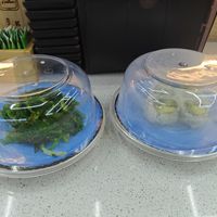 Seaweed salad and avocado sushi at Kawa Revolving Sushi in Cincinnati