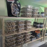  at Green Hamster Shop in Tbilisi