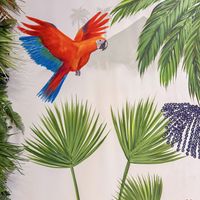 .  at Amazonia Açaí in Illes Balears