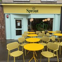   at Sprout in Exeter