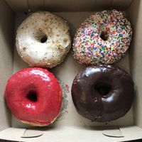 Delicious doughnuts at bloomer's in Toronto