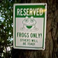 Fun signs like this everywhere and witchy vibes  at North Country Brew Pub in Slippery Rock