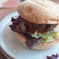  at De Koele Costa in Zuid-holland