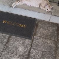   at Veganerie Grand Palace - วีแกนเนอรี วัดพระแก้ว in Bangkok