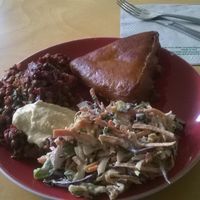 Samosa and salad at Wild Earth Organics Cafe and Store in Tauranga