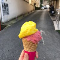 Satsuma mandalina ve cilek sorbet at MUA in Istanbul