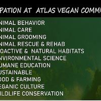 What we offer at our school at Atlas Vegan Community School in Buganda