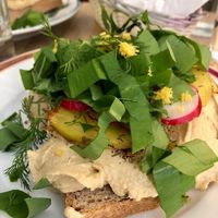  at Hummus Amamamusi in Krakow