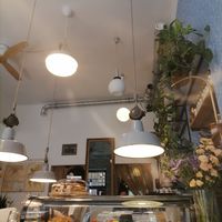  at Hummus Amamamusi in Krakow