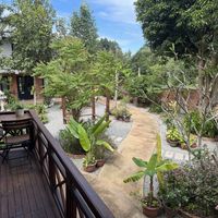   at The Little Vegan Homestay in Siem Reap