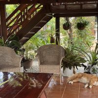   at The Little Vegan Homestay in Siem Reap