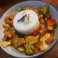 Tofu curry at Daintree Siesta Accommodation & Campground in Diwan