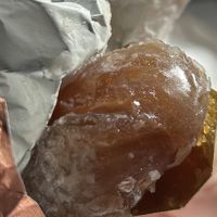 candied chestnut 3,80€  at Pierre Marcolini Zavel in Bruxelles