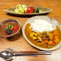 Plant based Curry with seasonal vegetables at Sanzui Kawabeno Juku in Taiki Town