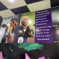   at Bánh Mì Chay Đệ Nhất Madam Thao in Hoi An