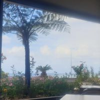 Outdoor seating view at Restaurante A Cataplana in Madeira