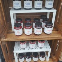  at Zengarry Vegetarian Cuisine in Alexandria