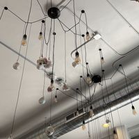   at Alice & Friends in Oak Park in Oak Park