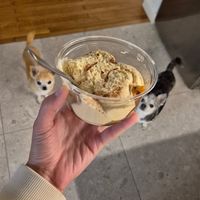  at Kitsune Athens Bistrot in Athens