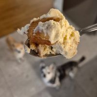  at Kitsune Athens Bistrot in Athens