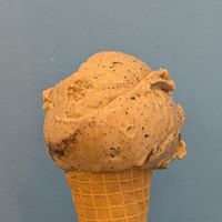 Favorite Mug Espresso Chip at Mayday Ice Cream - St. Augustine Beach in St Augustine