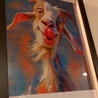  at Gli Agricolanti in Rieti