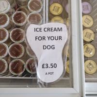  at Doniford Farm Park in Somerset