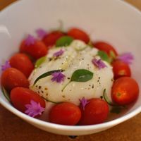 Burrata  at Sessarego in Mexico City