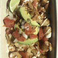 Coconut bacon loaded tots   at Ocean Organics in Toms River