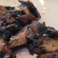 Side of roasted mushrooms, which had weird herbs on them at True North in Coburg