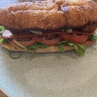   at True North in Coburg