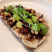 Mushroom Toast at Krume Bäcker in Provincia De Panamá