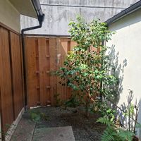 Garden at Bien - ビアン in Kyoto