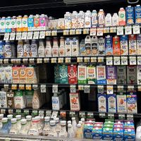 vegan milk   at Sprout's Farmers Market - Genesee in San Diego