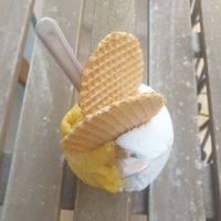 Passionfruit and coconut at Lanette Helados Frescos | Mayor 31 in Comunidad Valenciana