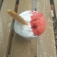 Strawberry and coconut at Lanette Helados Frescos | Mayor 31 in Comunidad Valenciana