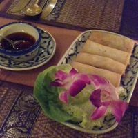 Vegan springrolls at River Kwai in Utrecht