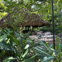 seating area at Juice Bar at the Harmony Hotel in Nosara