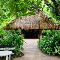 Cafe & Juice Bar at the Harmony Hotel.  Adjacent to the Healing Center for yoga, massages, etc. at Juice Bar at the Harmony Hotel in Nosara